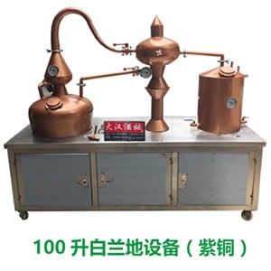 白蘭地釀酒設備，果酒蒸餾設備